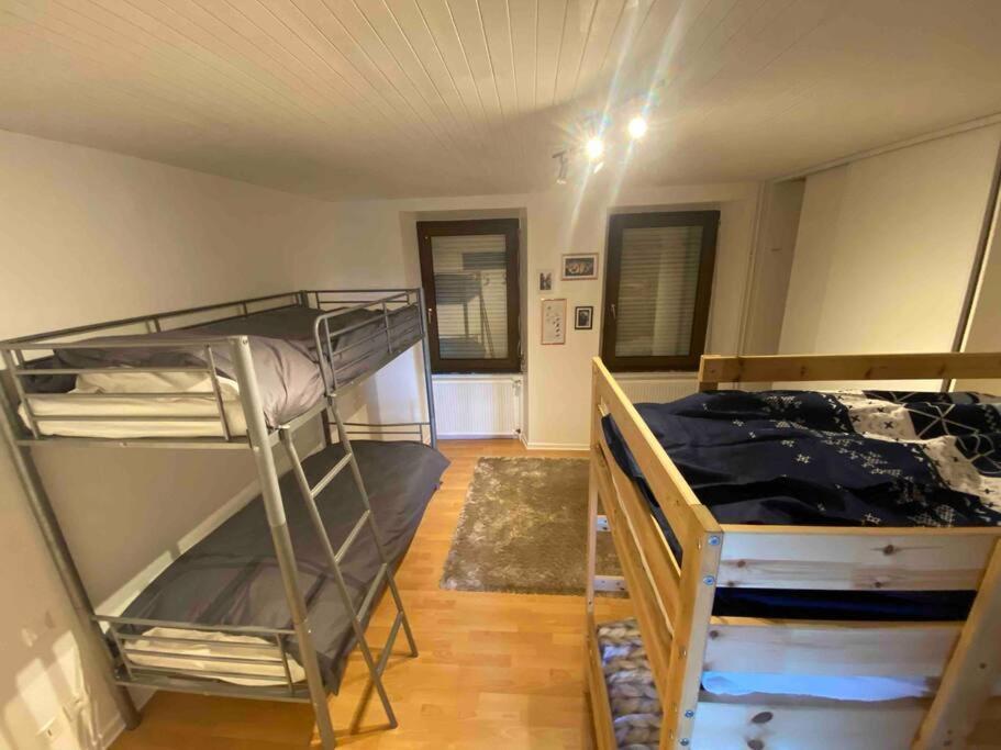 Appartement Emile Galle. Goetzenbruck Luaran gambar